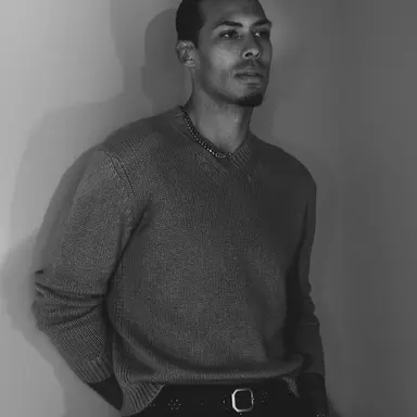 Profile image of Virgil van dijk