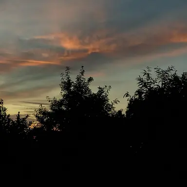 Profile image of ナムギュ