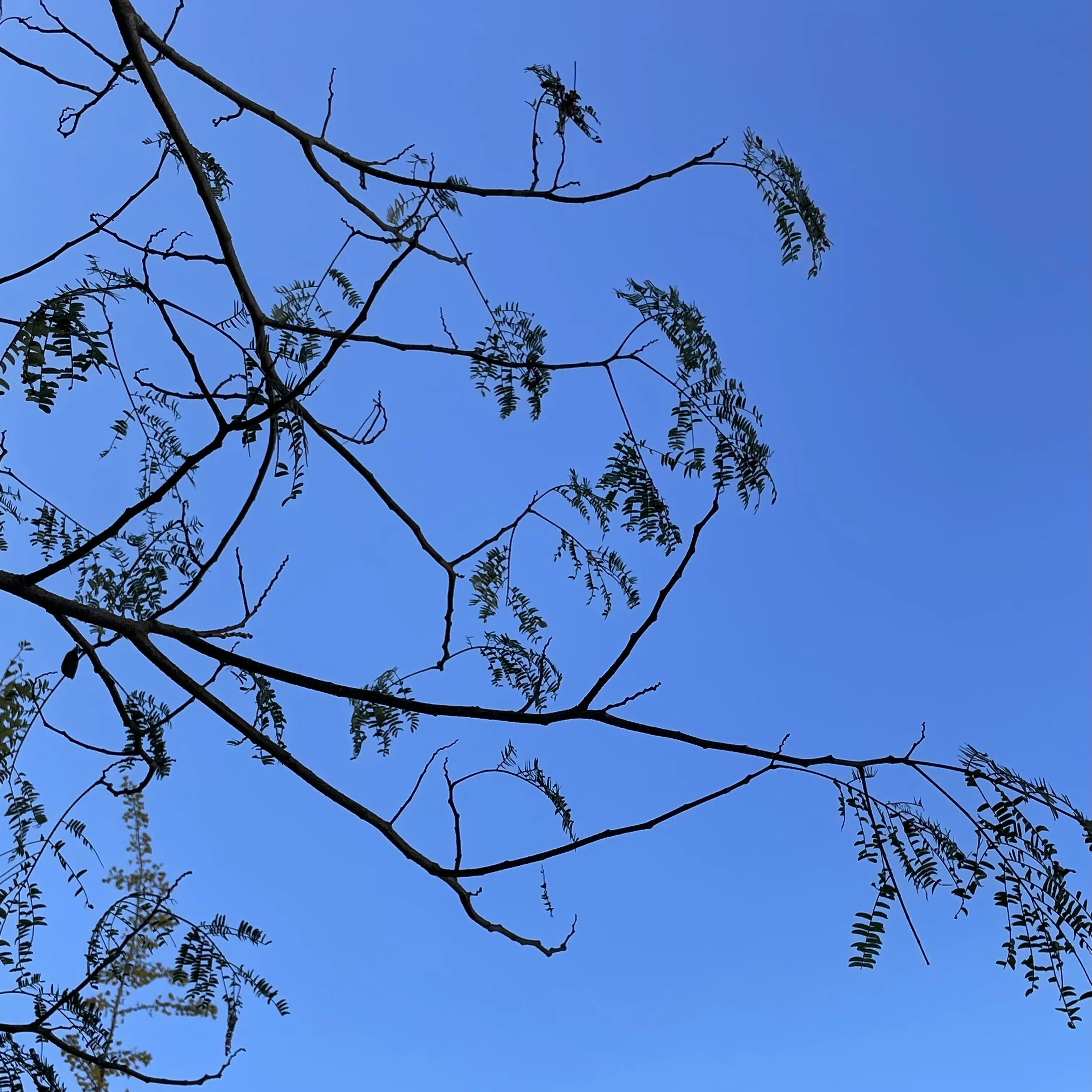 WetPound4833의 엄격한오빠들