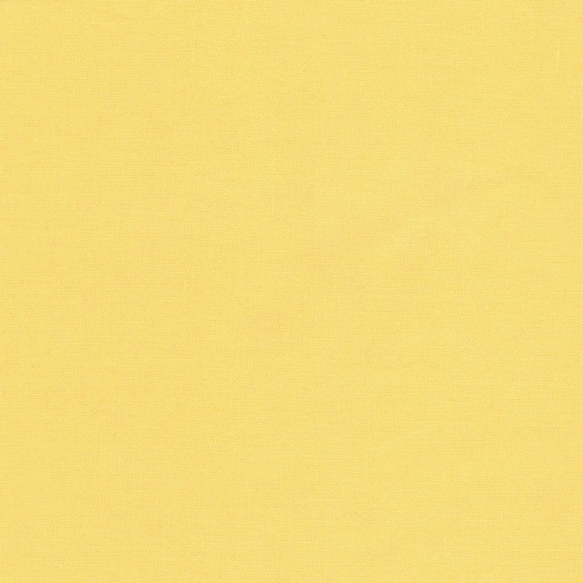 hoshi._의 こっち見て