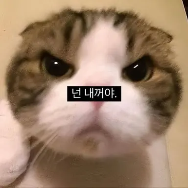 Profile image of 여우