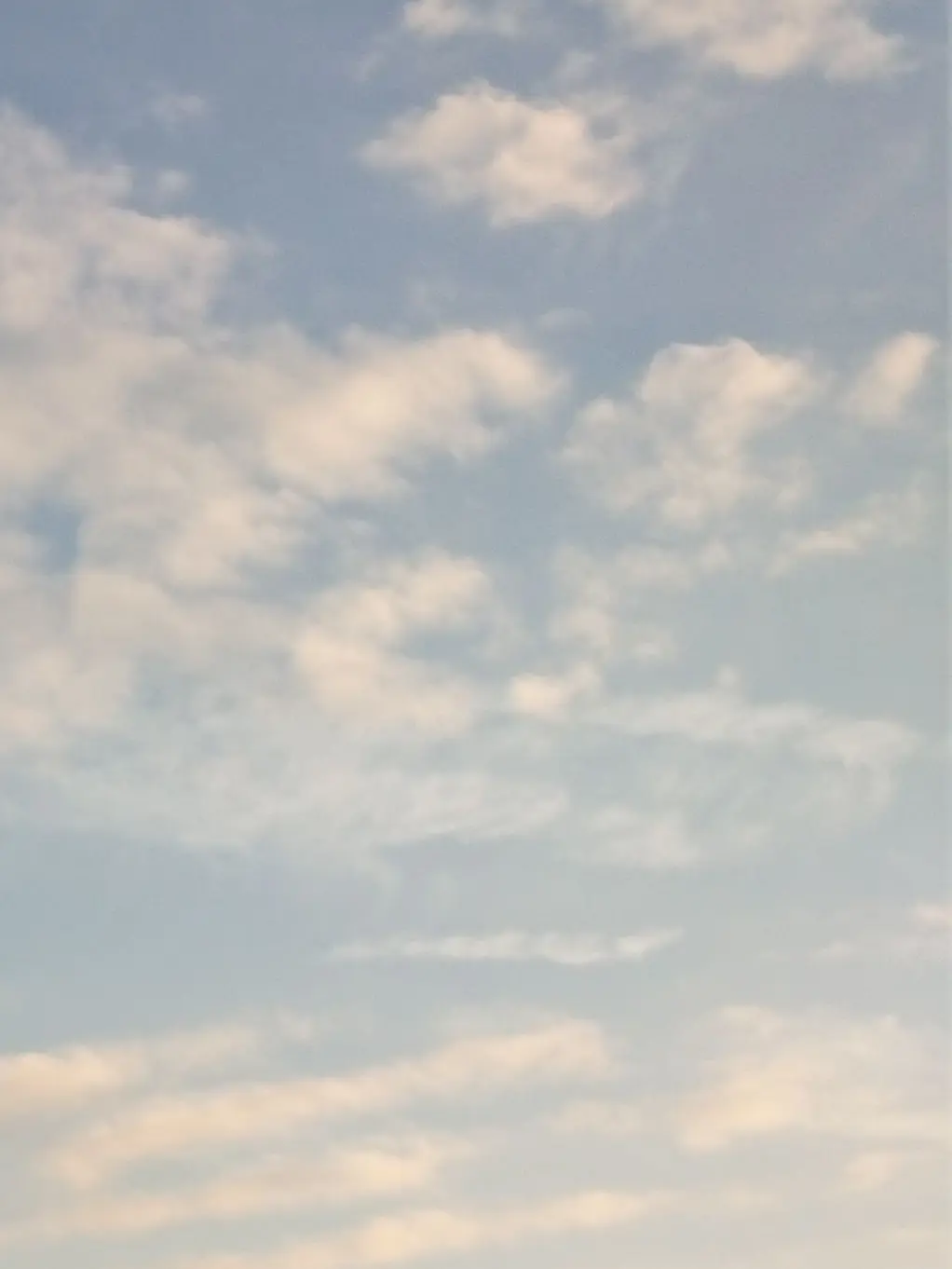 Yamato_0407의 宝物発見！