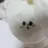 백정우
