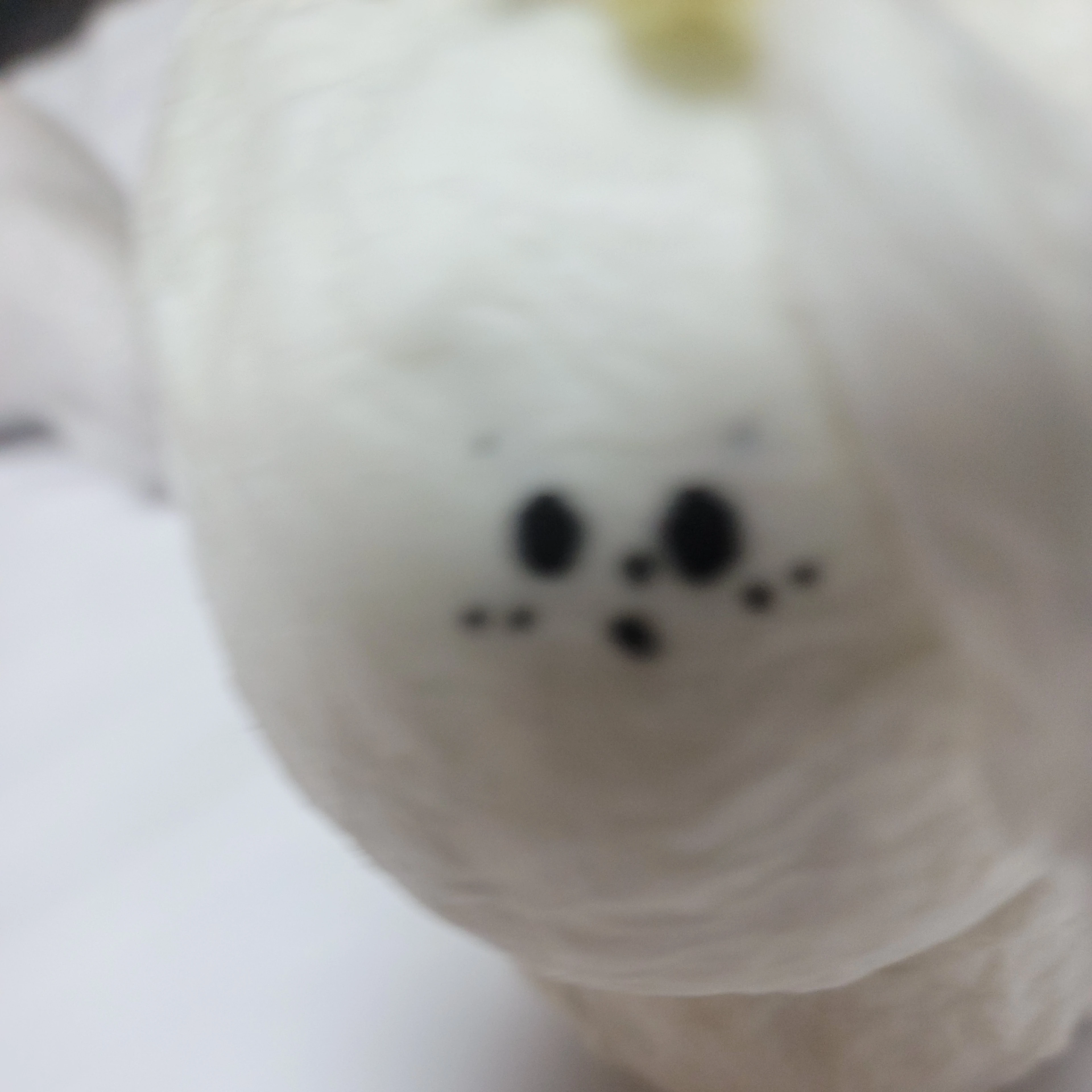 백정우