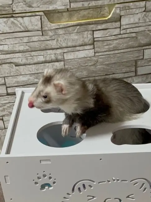 stay_hyunjin03201113의 がうっ...！