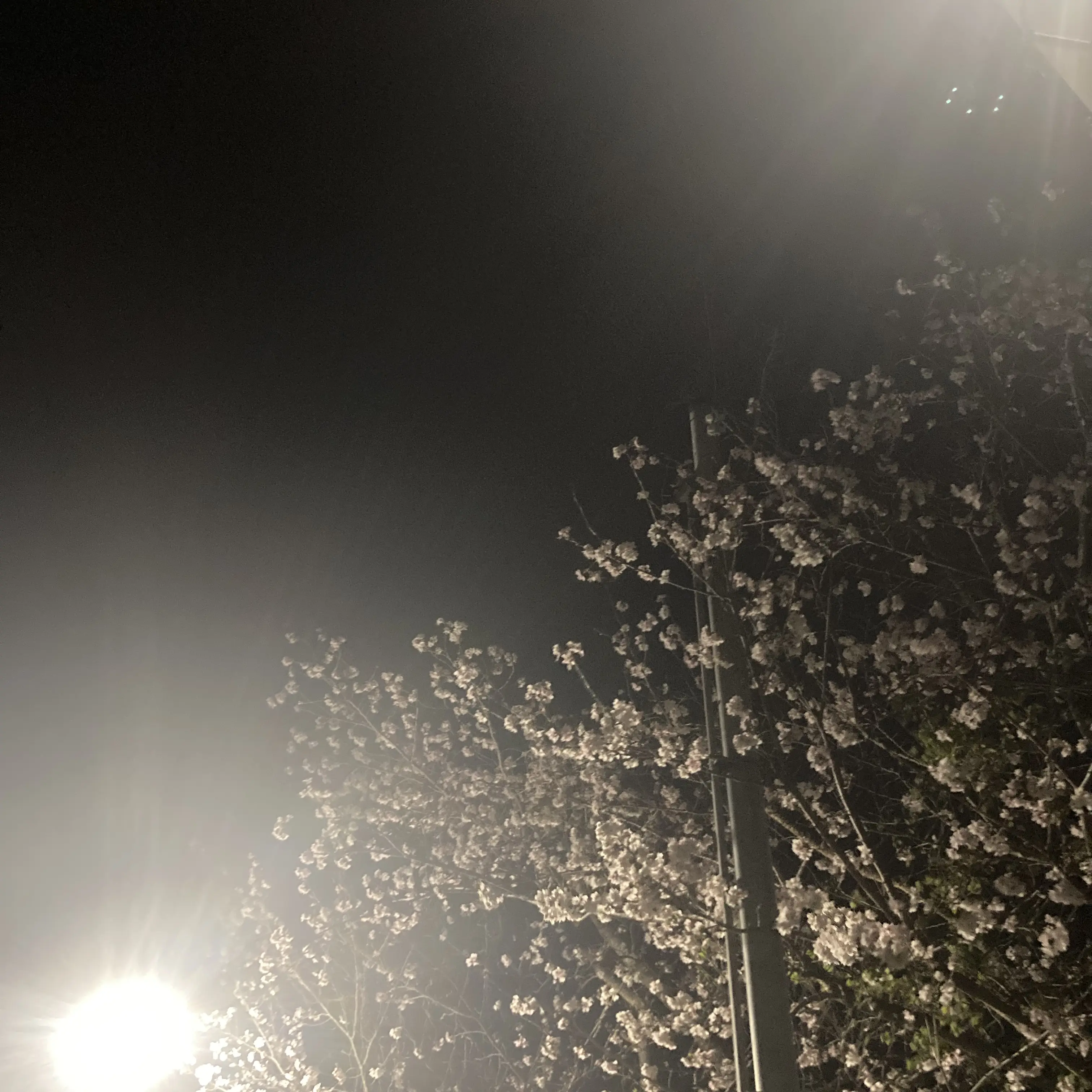 TastyFox5607의 酒居翔太