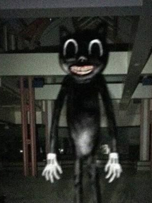 카툰 캣 대표 이미지