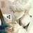 백도현