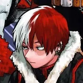 Profile image of Shoto Todoroki