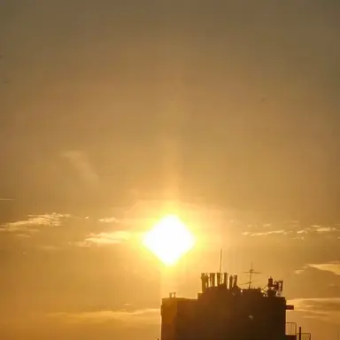 Profile image of 퓨어바닐라