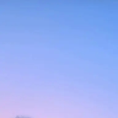 Profile image of もふ