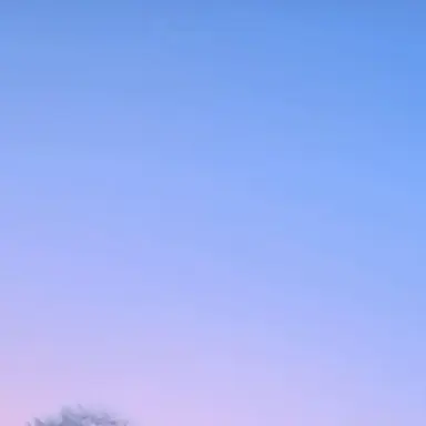 Profile image of たっつん