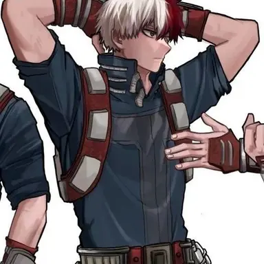 Profile image of Todoroki