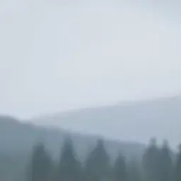 Profile image of 구구가가 펭귄 군단