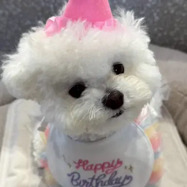 Profile image of ニキ