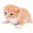 Gary