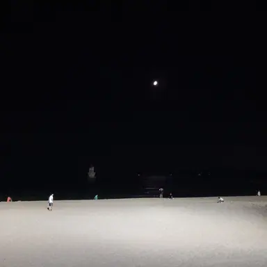 Profile image of 여우