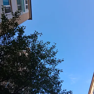 Profile image of 무리에 대해 설명