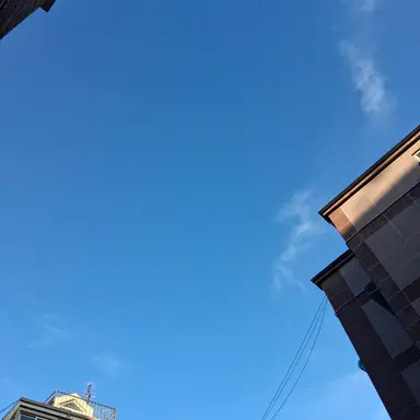 Profile image of 김여우