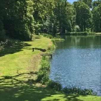 Profile image of 정형준