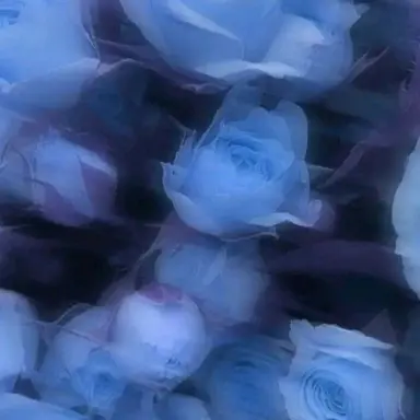 Profile image of 桐山 .