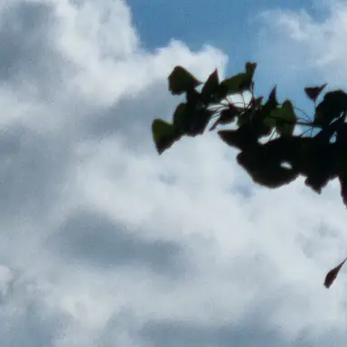 Profile image of 선재업고튀어