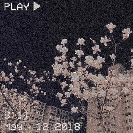 Zi.xaa의 짜증나는 단골 손님