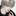 박선우