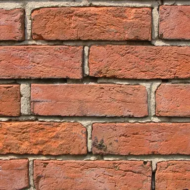 Profile image of 벽