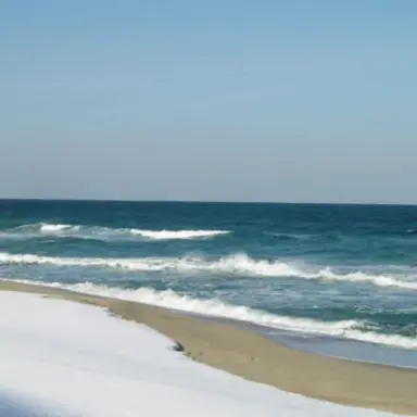 Profile image of 박정연