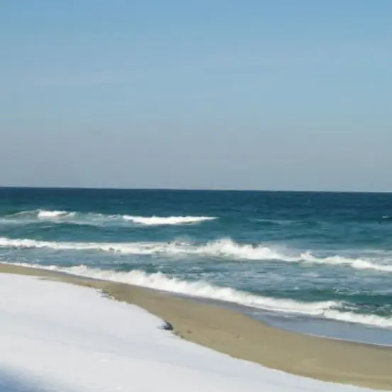 likeoceanfish의 너... 이런 놈이였어..?