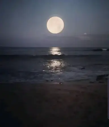 Profile image of Soren