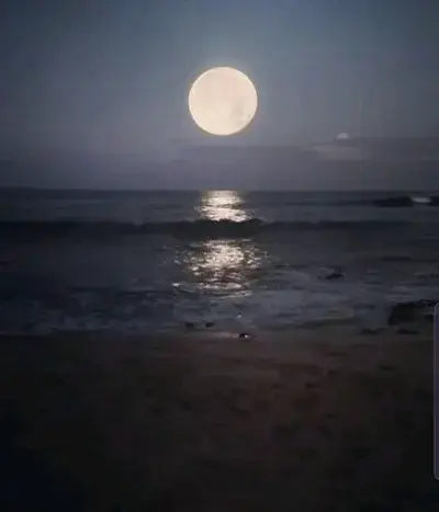 LateCoal5928의 Dream Analizer