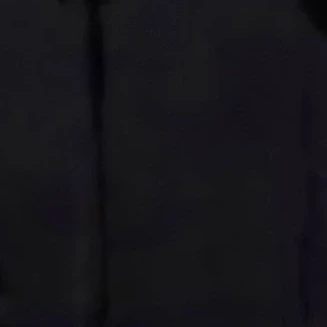 황인준