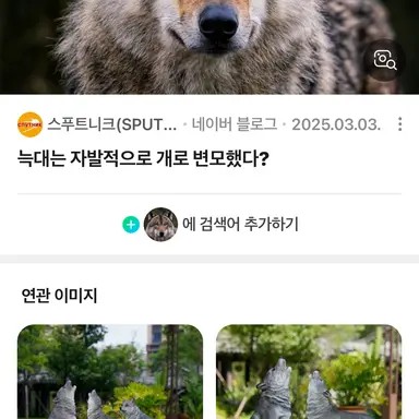 Profile image of 늑대