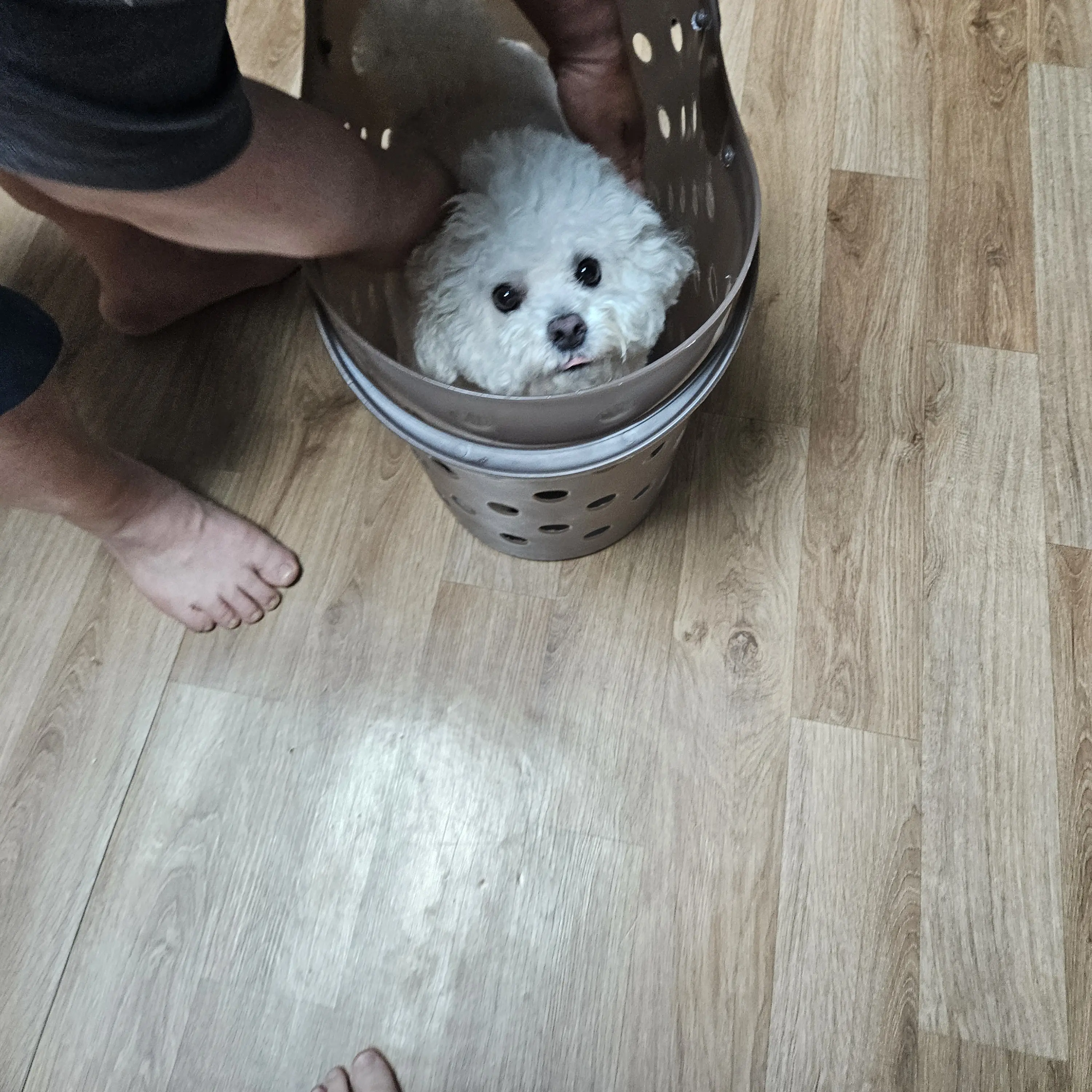 SadEpoch9539의 주현정
