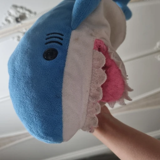 짱어