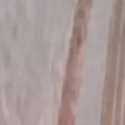 Profile image of 他に捕まった人間