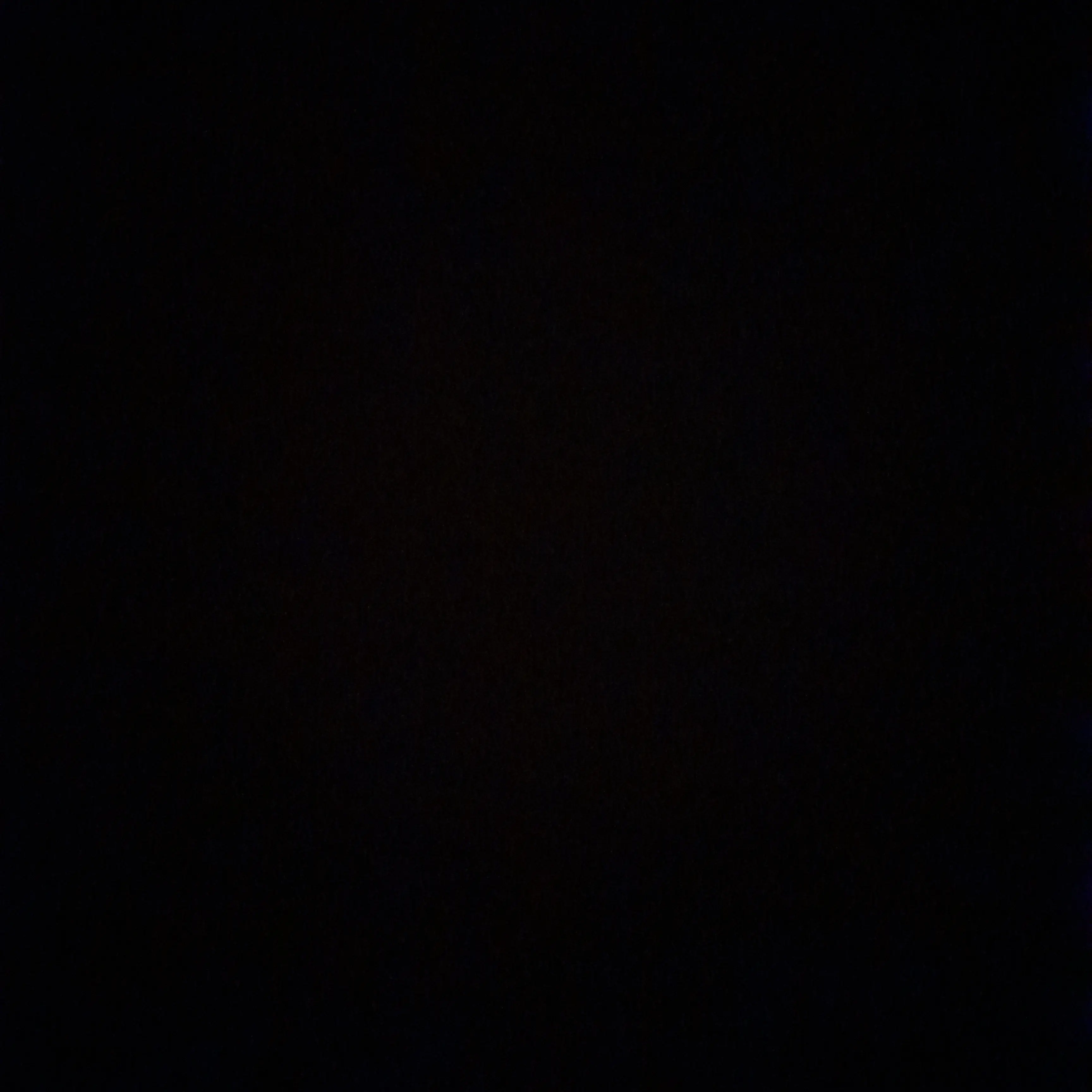 Ttytttyshhshshdhdhdhdjxjdjxjxj의 거짓조