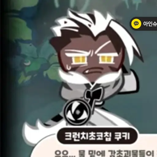 PaltryMug3982의 크런치초코칩 쿠키