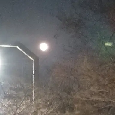 Profile image of 박문대