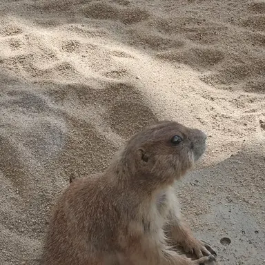 Profile image of 김현