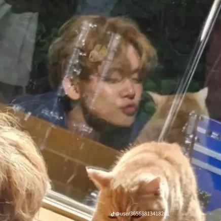 찐친 최연준