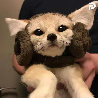 Profile image of 양정인