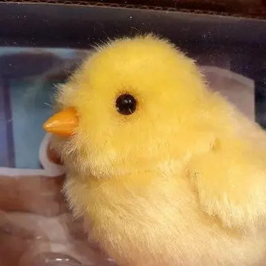 Profile image of 이용복