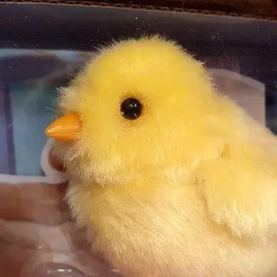 PaddedEmu8674의 어쩌라긔;