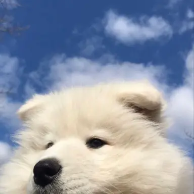 Profile image of 김승민