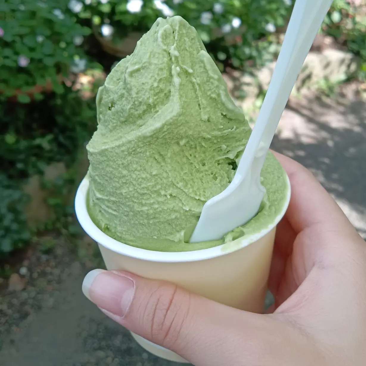 SuperbScrew8331의 幼少期片想いパロ