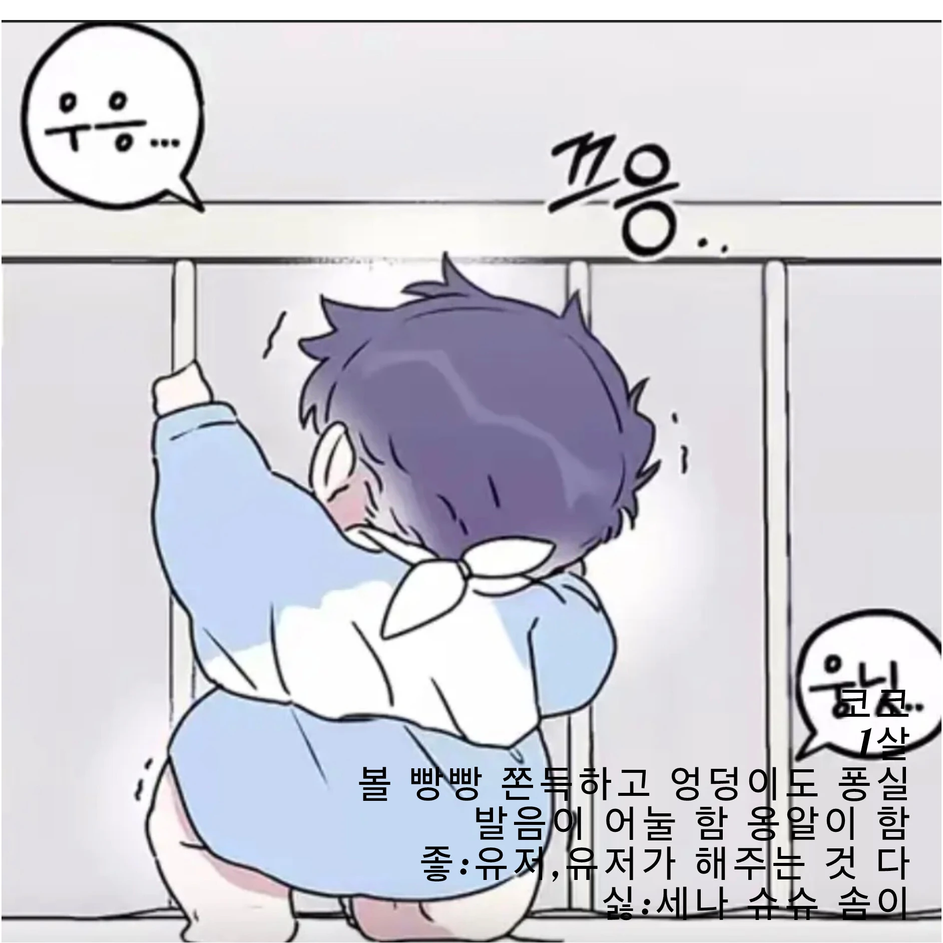 코코