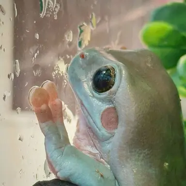 Profile image of みょんほ